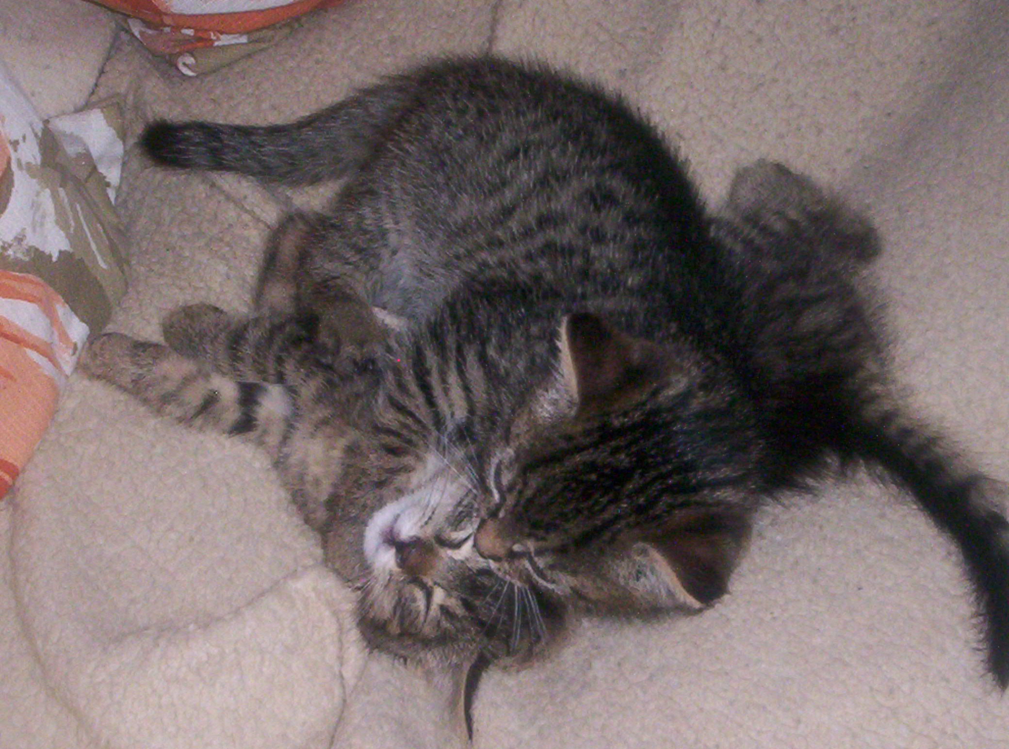 100_0535.JPG